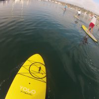 Young Adults Go Paddle Boarding